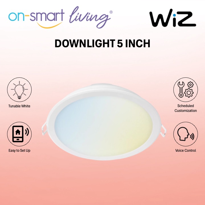 WiZ Smart Wifi Tunable White Downlight