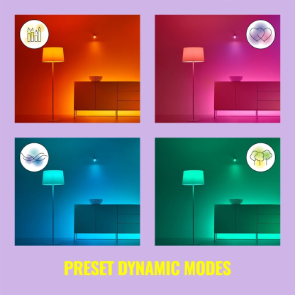WiZ Smart Wifi RGB LED Strip Light 1m Extension