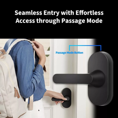 Aqara U300 Smart Door Lock (Include Installation)