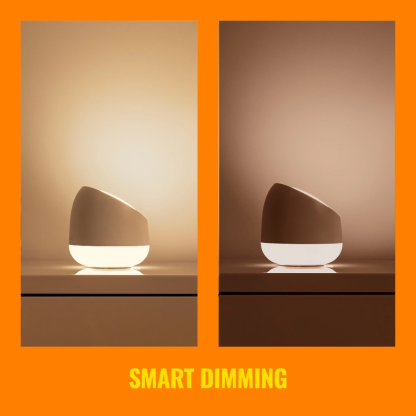 WiZ Squire Smart Wifi RGB Portable Table Lamp