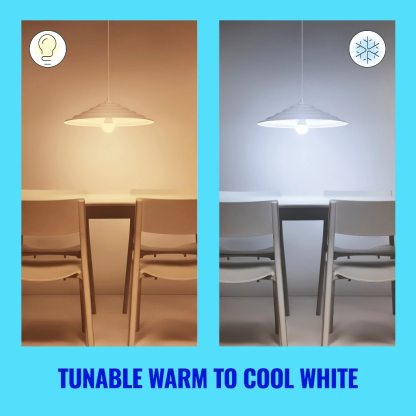 WiZ Smart Wifi Tunable White E27 Bulb