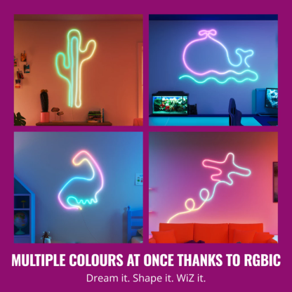 WiZ Smart Wifi Neon Flex 5m Light Strip