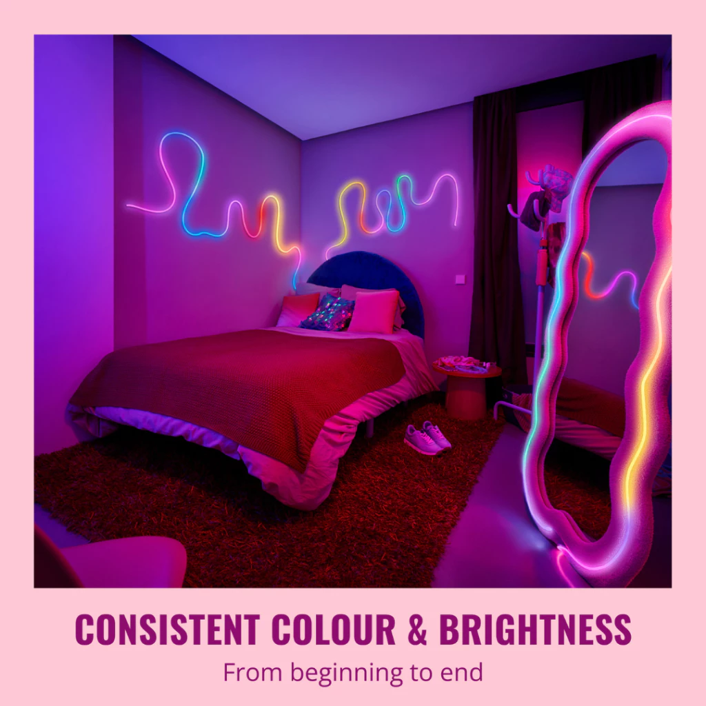 WiZ Smart Wifi Neon Flex 5m Light Strip