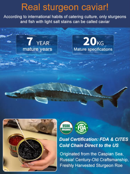 Russian imported sturgeon black caviar