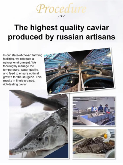 Russian imported sturgeon black caviar