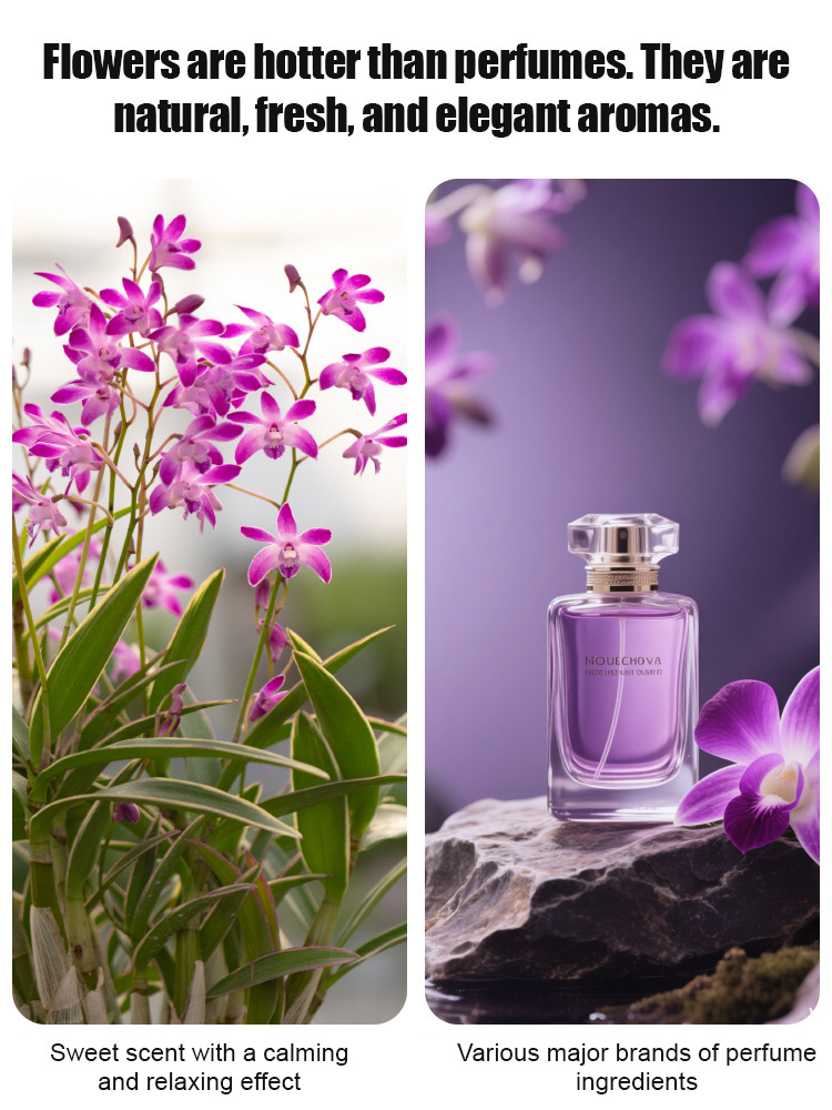 【Natural air purifier💐】Perfumed Dendrobium Orchid Improves Sleep Green Plants Purify Air