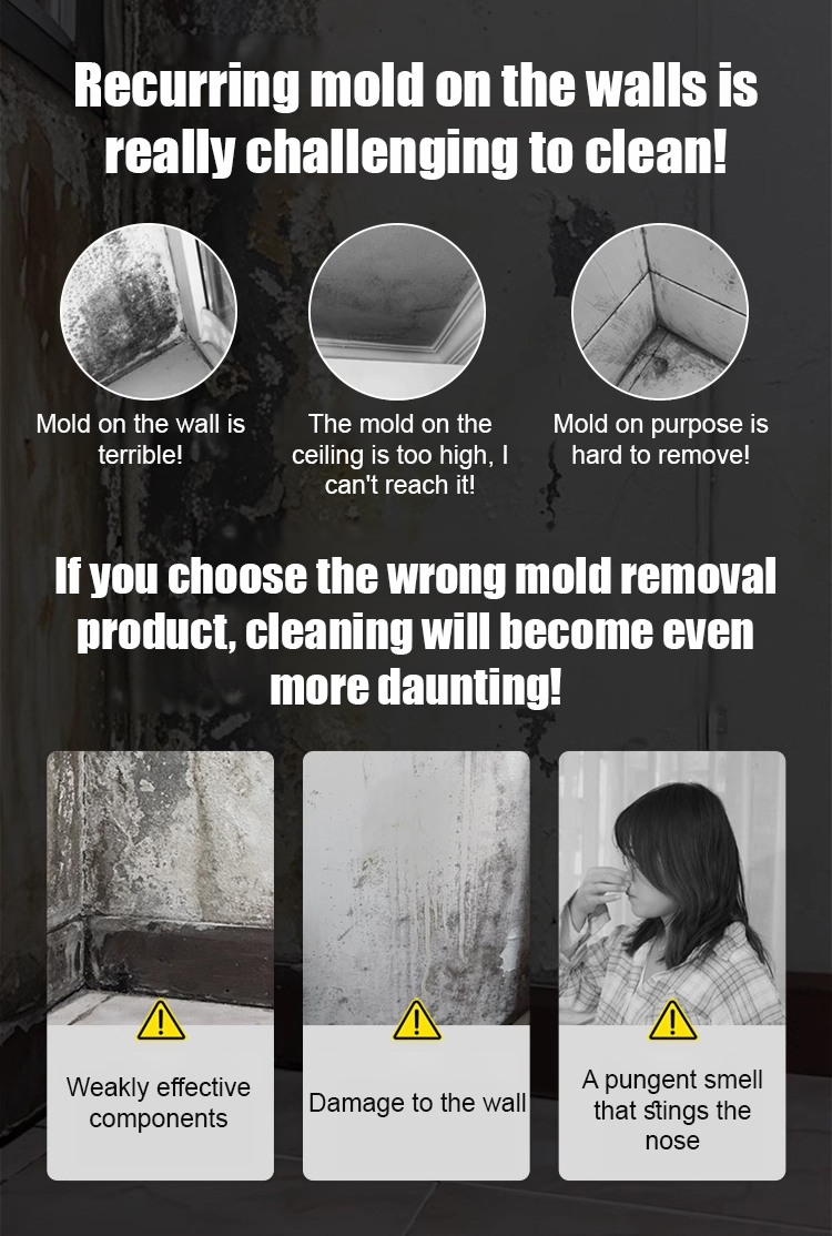 Mold Removal Cleaner - Eliminates Years of Mold in Seconds