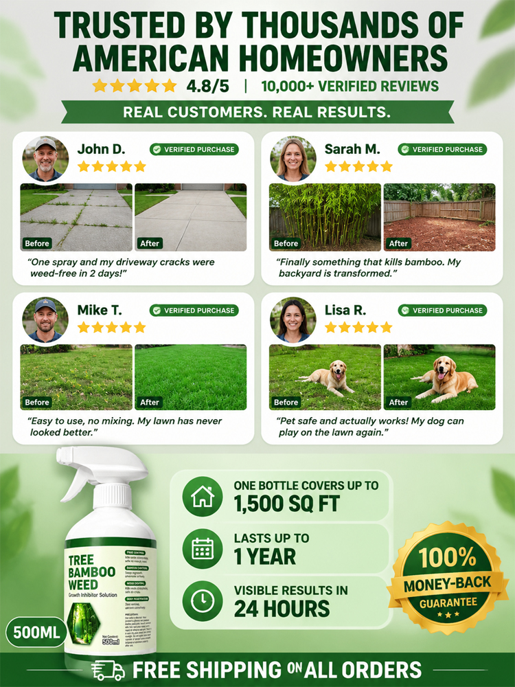 🌿Smart Selective Weed Killer, eliminates weeds down to the roots within hours with visible results in 24 hours⏱️