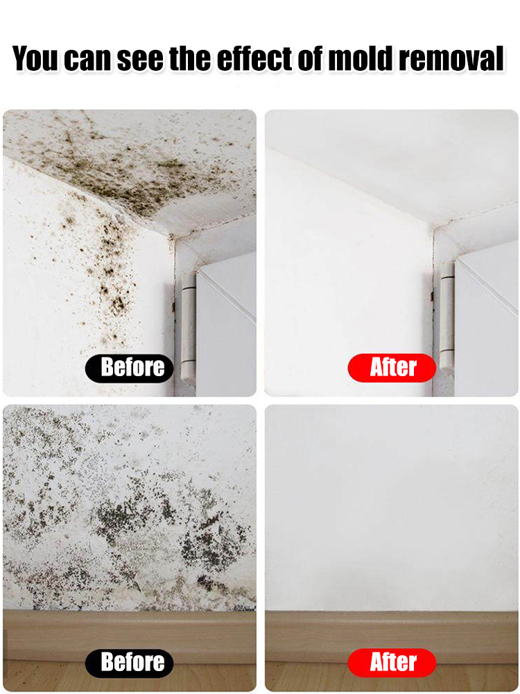 Wall Stain and Mildew Remover Spray