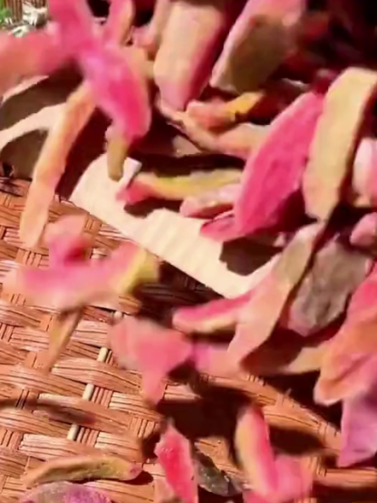 🚀 AU Sun-Kissed Guava: Low-GI Natural Energy, No sugar spikes!
