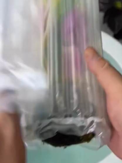 【Natural air purifier💐】Perfumed Dendrobium Orchid Improves Sleep Green Plants Purify Air😄Absorbs formaldehyde and releases fragrance