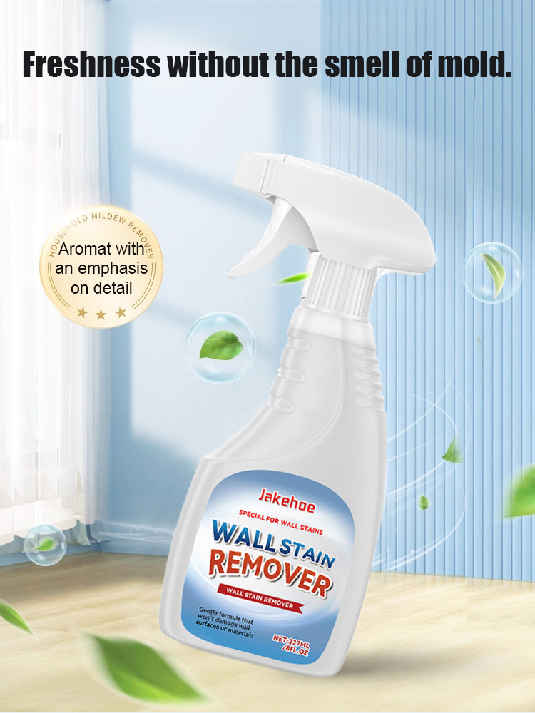 Watch 10-year mold vanish in 3 seconds! 