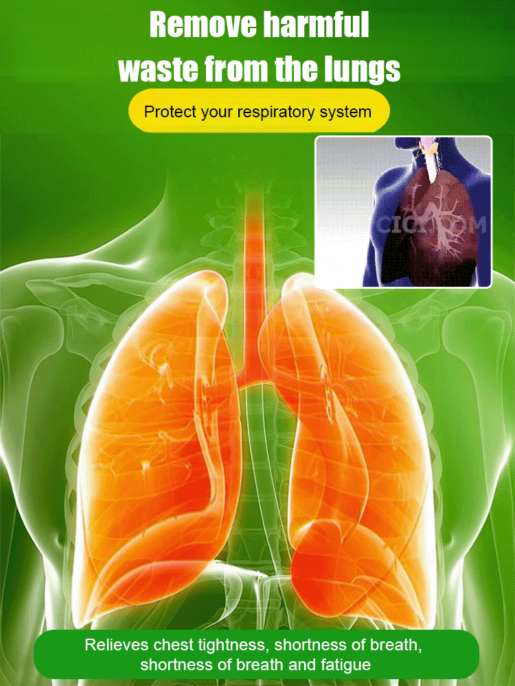 【Natural air purifier💐】Perfumed Dendrobium Orchid Improves Sleep Green Plants Purify Air