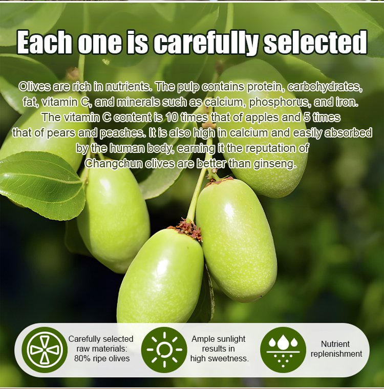 翻译件-SL-手工采摘特级橄榄果-1305418-系统_12.jpg