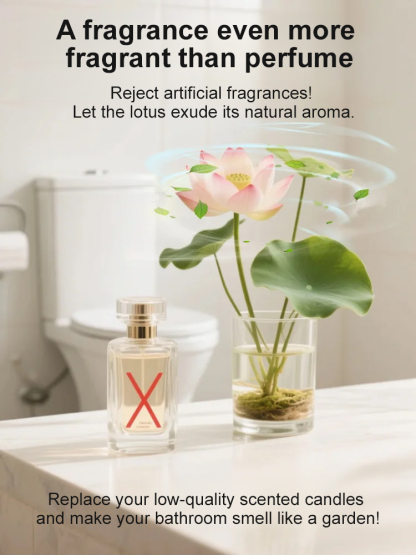 Newly Launched Organically Certified Water Lilies🪷Cold & heat resistant, blooming normally in temperatures ranging from -20℃ to 40℃❄️