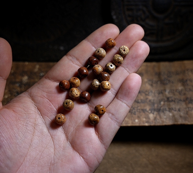 Star Moon Bodhi Seed Chenzi Beads with Dzi Beads Multi-Wrap Bracelet