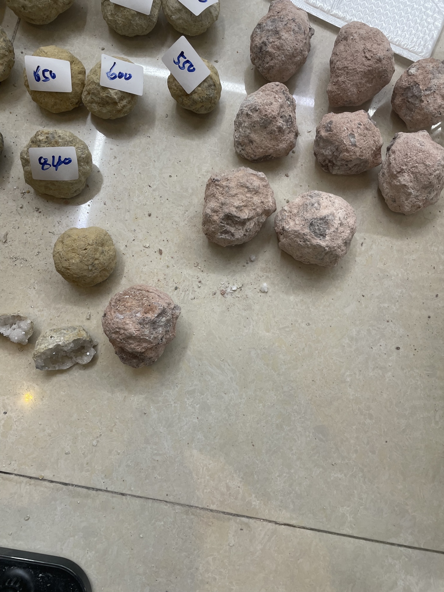 ぬこちゃん専用