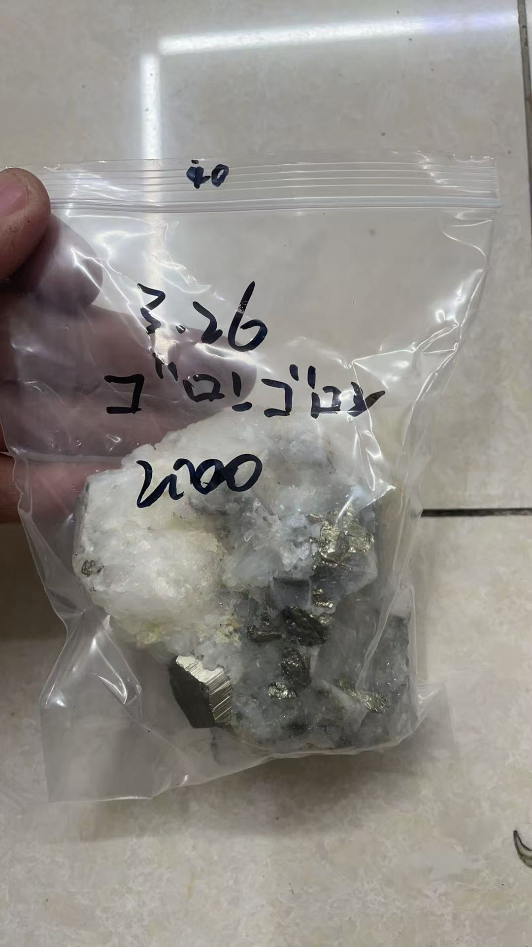 ゴロンゴロン様専用