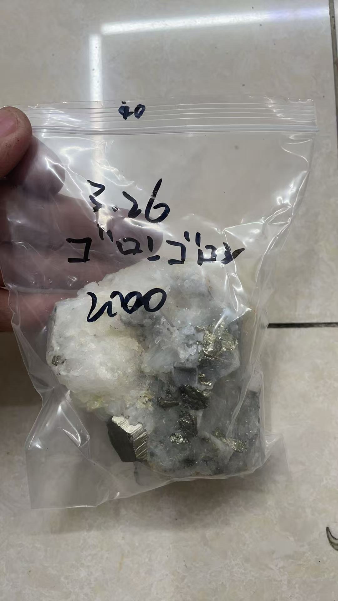 ゴロンゴロン様専用