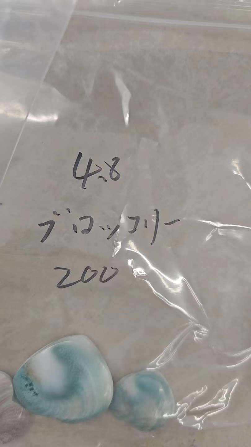 ブロッコリー様専用