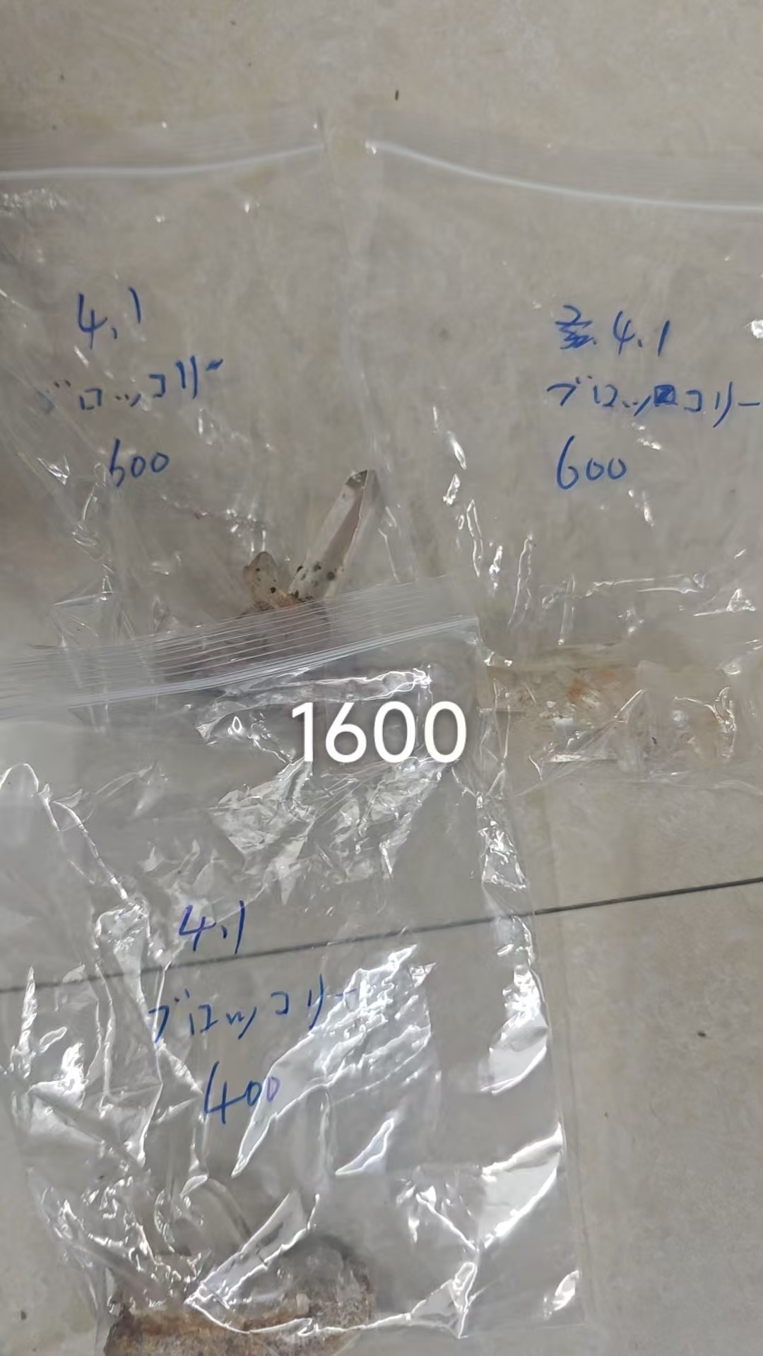 ブロッコリー様専用