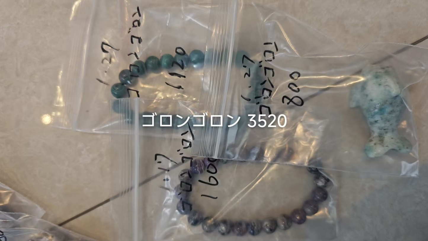 ゴロンゴロン様専用