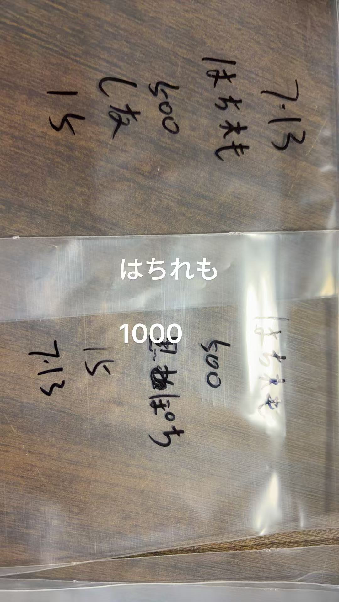 はちれも様専用