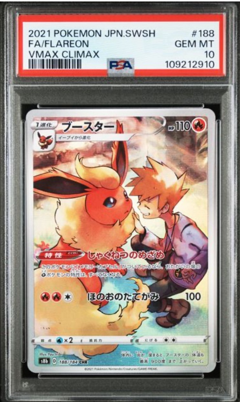 鑑定番号７７７スリーセブン！！【PSA10】斜め縞レインボー 16×16　英語版 こどもずかん どうぶつ777 英語つき しゃしんバージョン 今泉