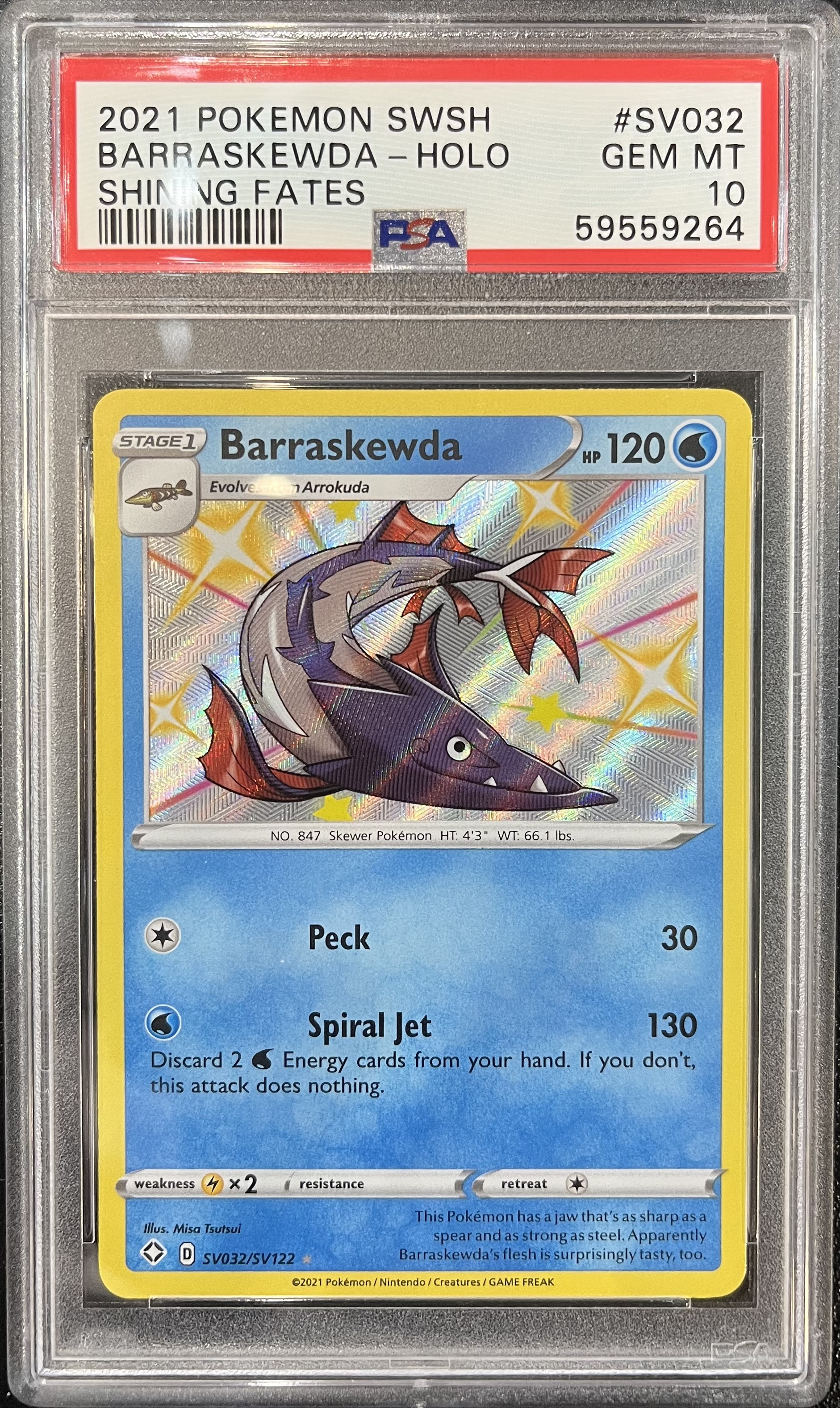 Pokemon TCG (English) 英文版鑑定卡 - PSA – MOONROAD CARD SHOP