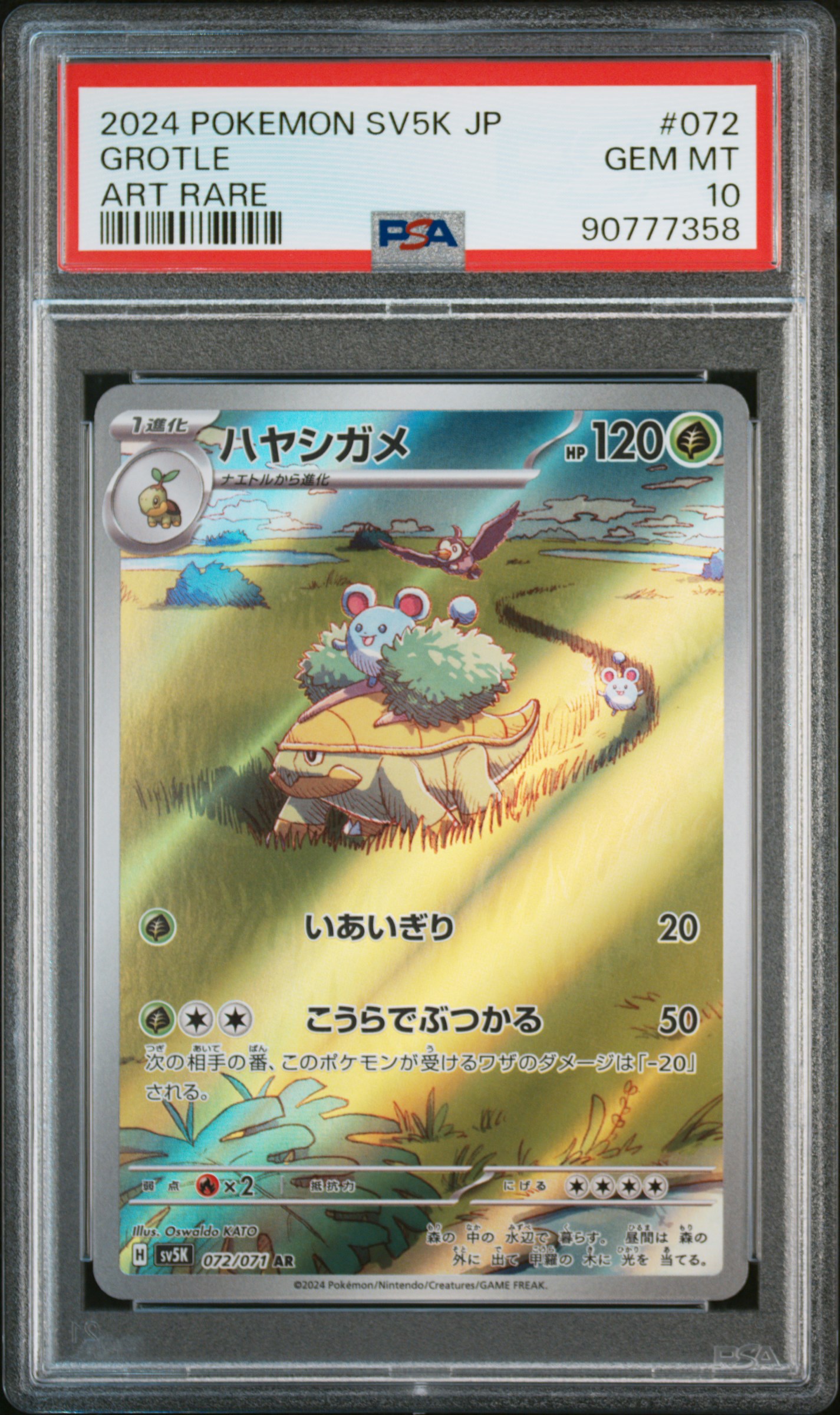[PSA 10] 2024 POKEMON JAPANESE SV5K-WILD FORCE #072 GROTLE ART RARE