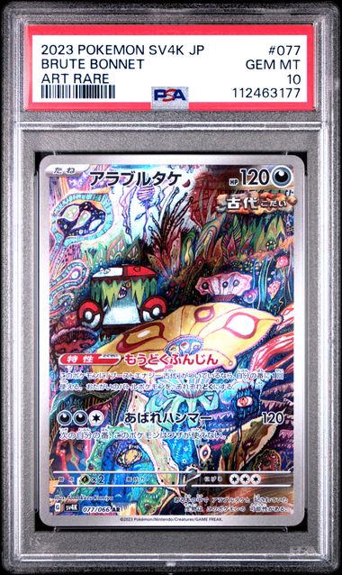 Pokemon TCG (Japanese) 日文版鑑定卡 - PSA – MOONROAD CARD SHOP