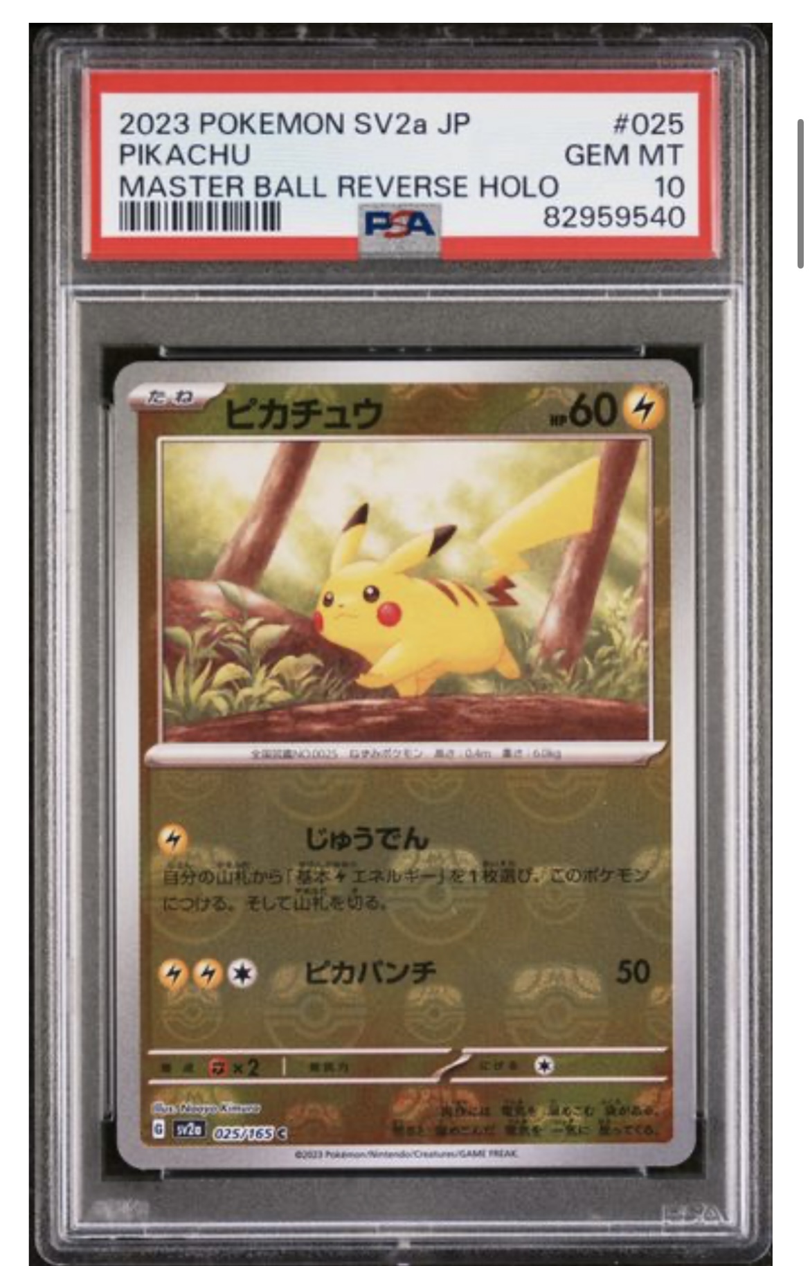 Pokemon TCG (Japanese) 日文版鑑定卡 - PSA – MOONROAD CARD SHOP