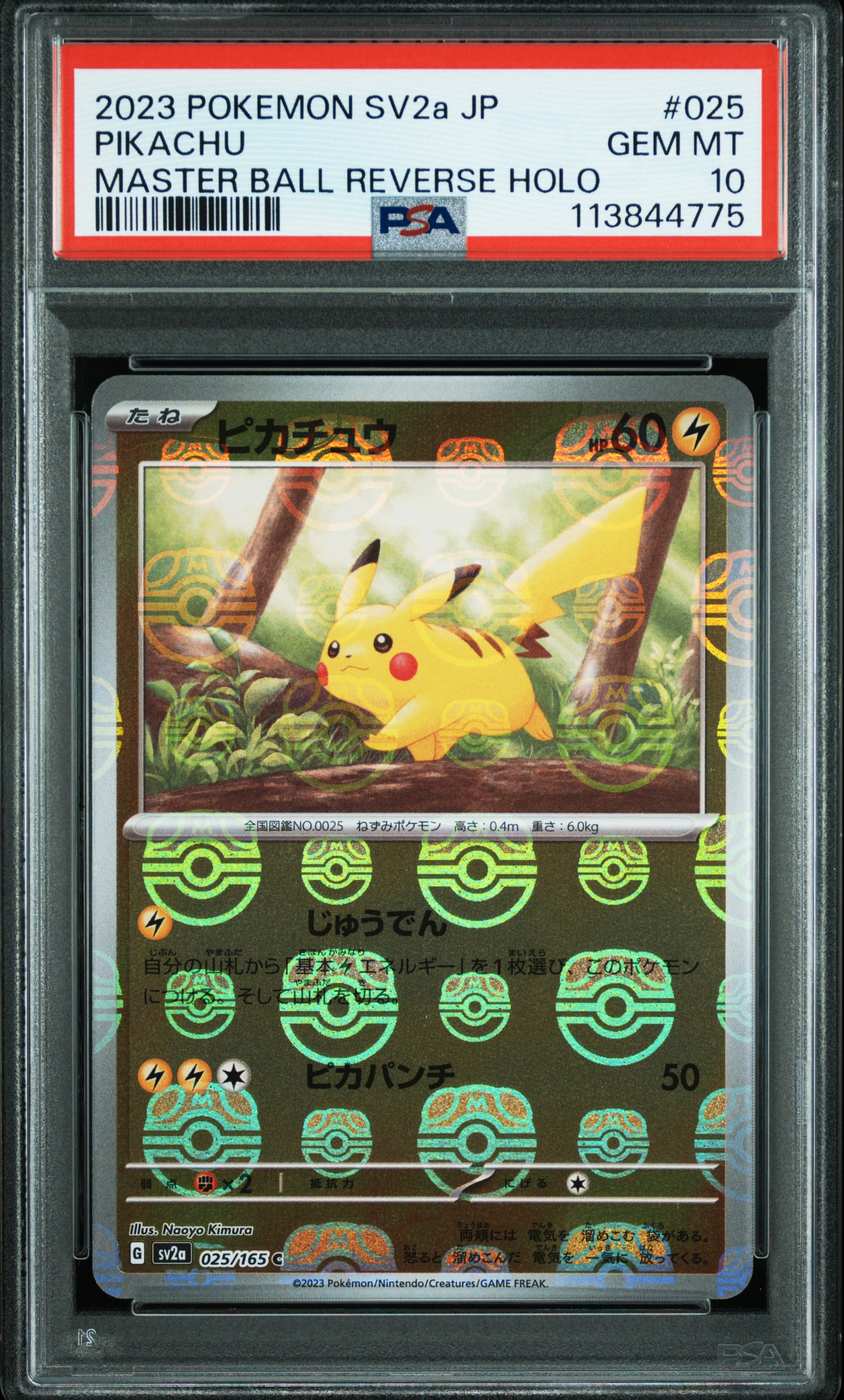 Pokemon TCG (Japanese) 日文版鑑定卡 - PSA – MOONROAD CARD SHOP