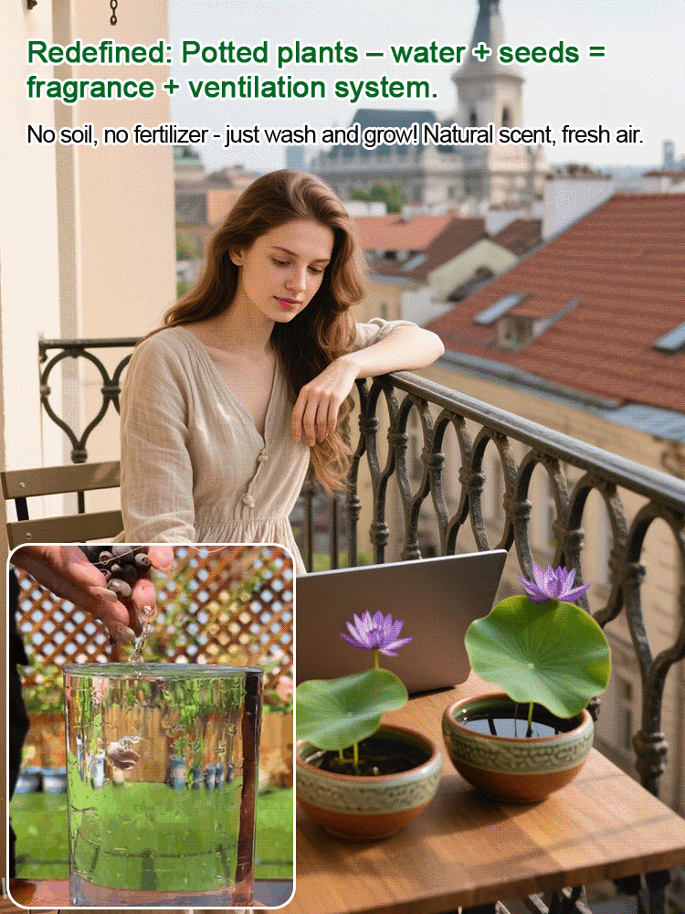 [Beginner-friendly] Hydroponic lotus seeds 