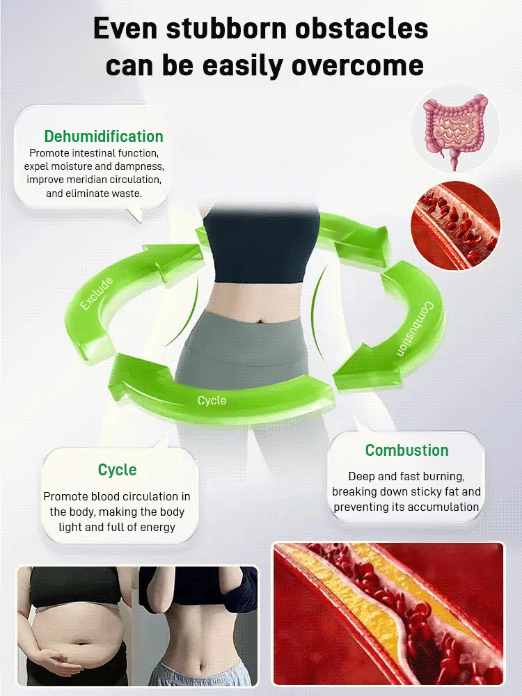 Walnut-Stuffed Dried Figs Snack【Double nutrition for better health!】