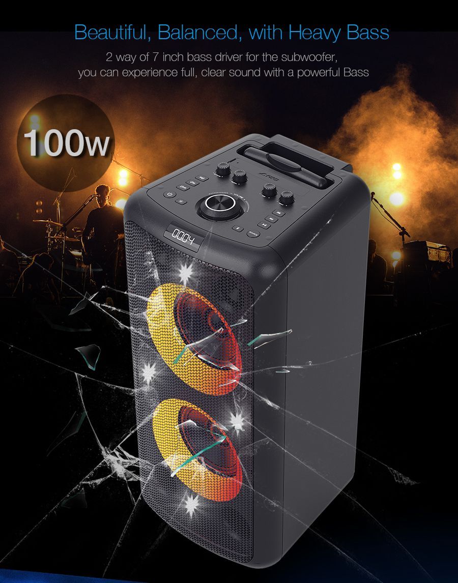 PA300 Outdoor Party Speaker