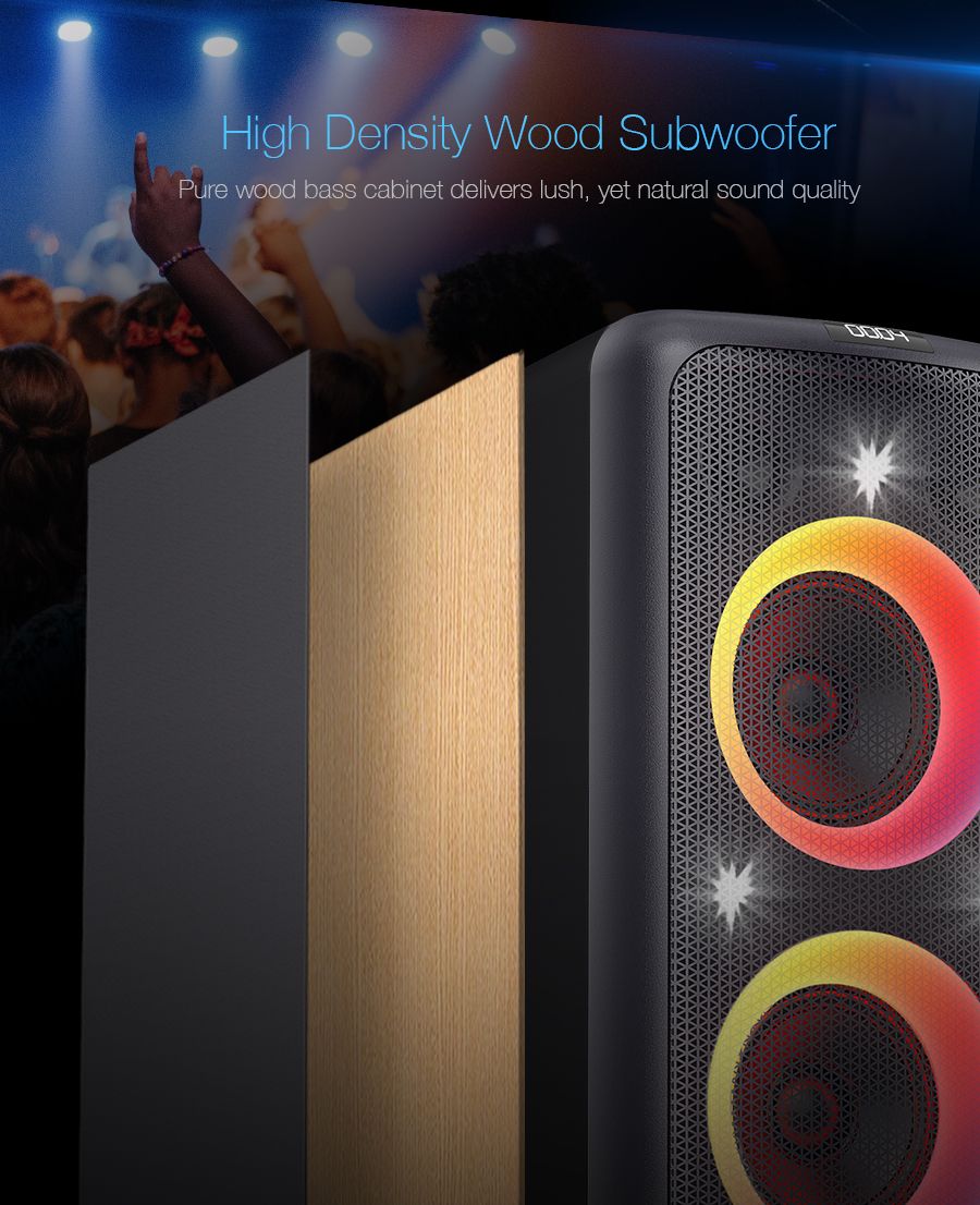 PA300 Outdoor Party Speaker