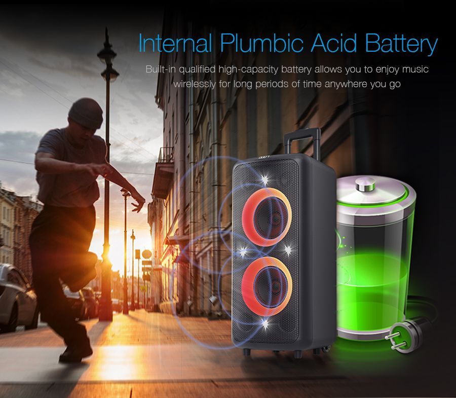 PA300 Outdoor Party Speaker