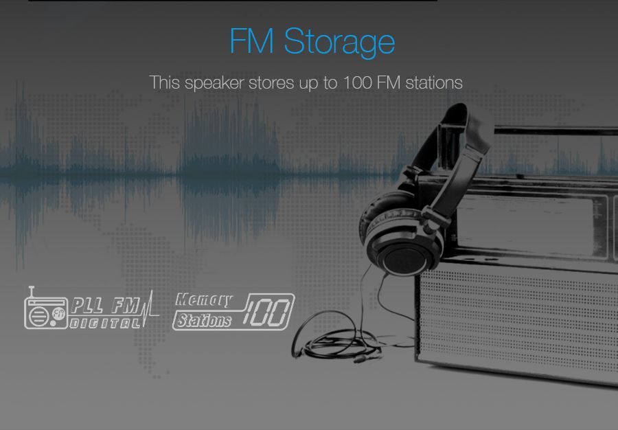 PA300 Outdoor Party Speaker