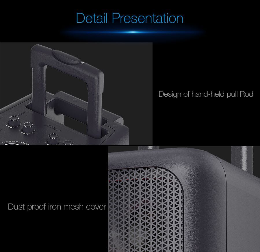PA300 Outdoor Party Speaker