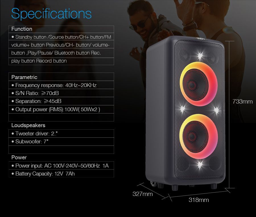 PA300 Outdoor Party Speaker