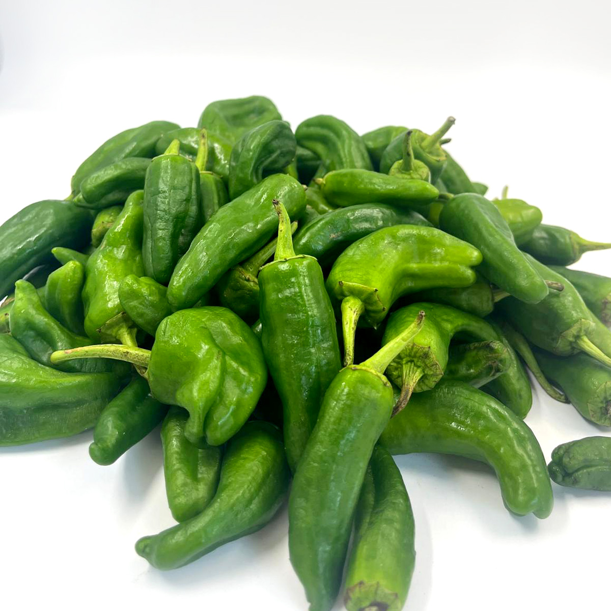 Padron Pepper - Spain