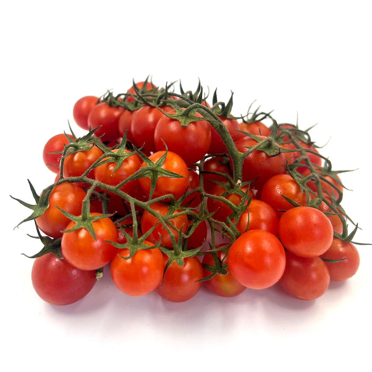 Cherry Tomatoes on the Vine - Spain