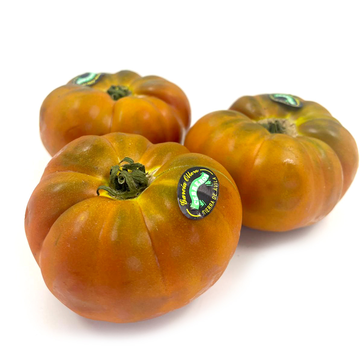 Penumbra Tomato - Spain