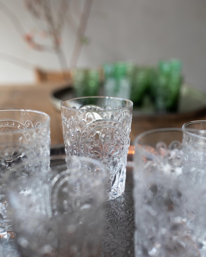 Van Verre Fiore De Firenze Glass Clear Set of 6 