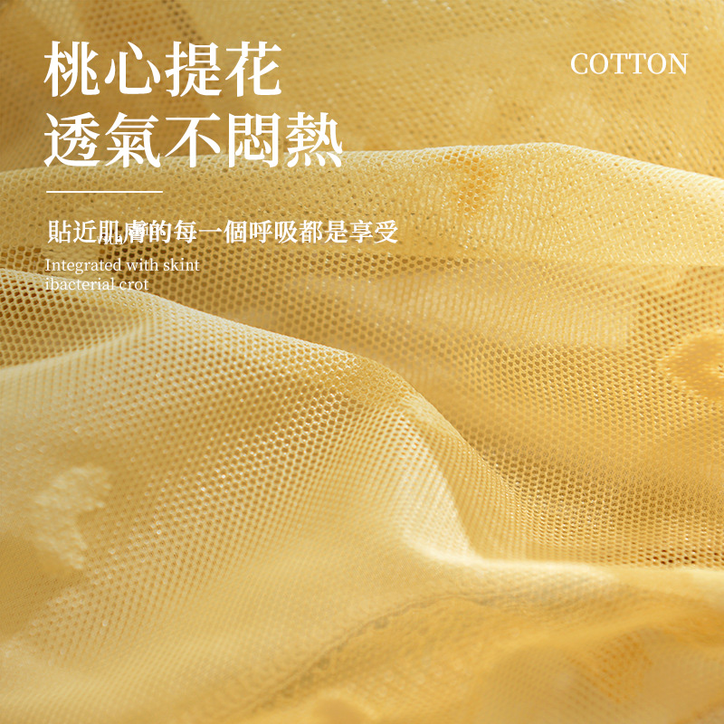  【3件裝】性感無痕中腰蠶絲V型冰絲蕾絲內褲