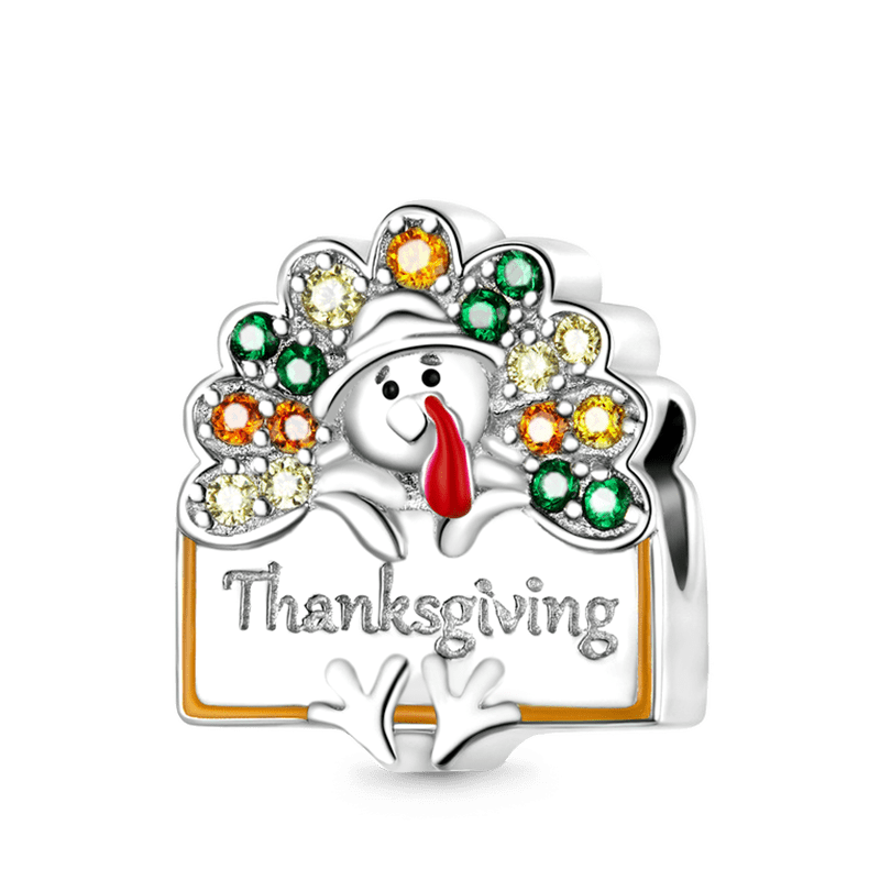 Turkey Charm image number 0