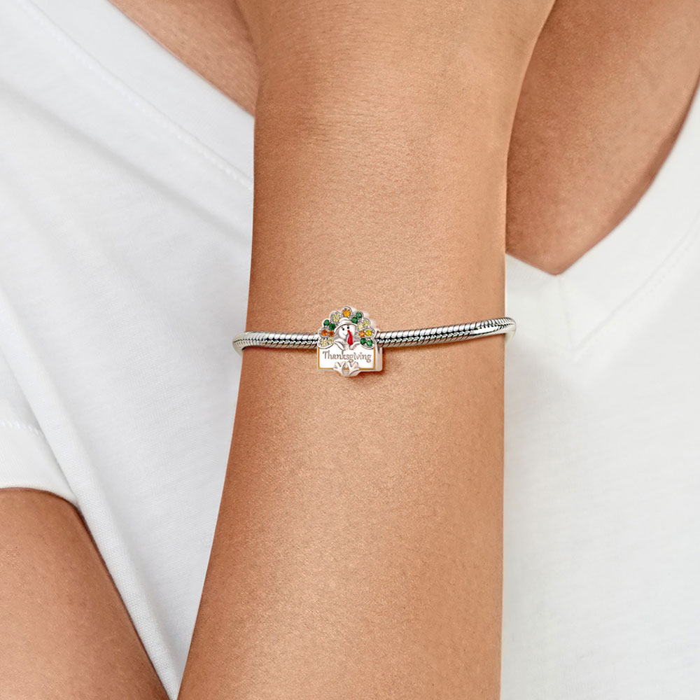 Turkey Charm image number 3