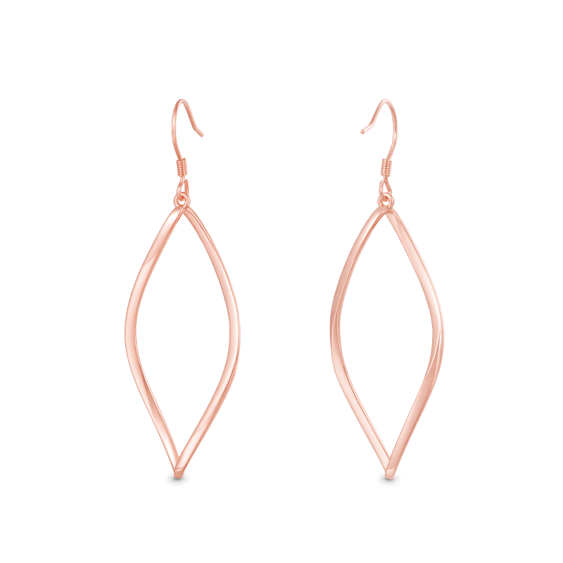 Hollow Twisted Dangle Earrings image number 0