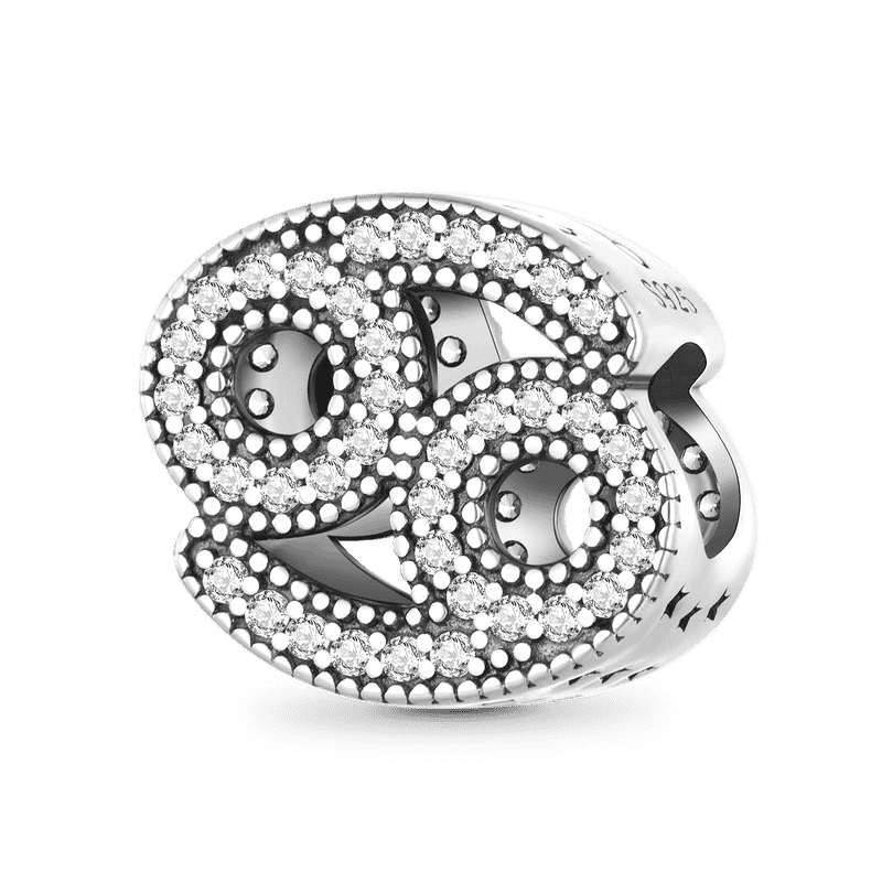 Zodiac Sign Lucky Charm image number 0